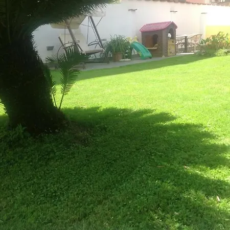 Spinelli וירג'יו