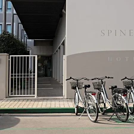 Spinelli 3* Виареджо